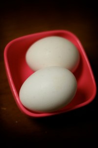 3870440483_edab3789d8_o