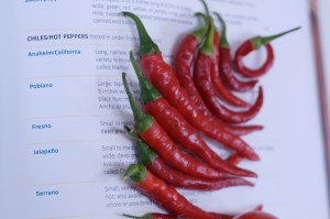 1796297804_1d9622673e_o