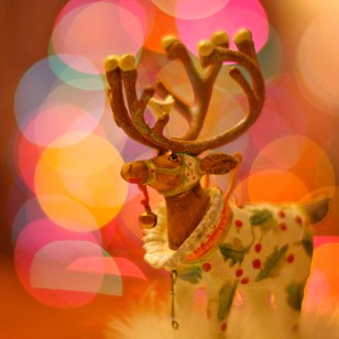 4215933572_8b27760dbe_o