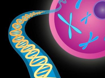 23422132554_069e1838f0_o